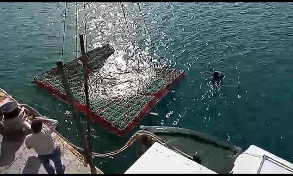 Ναυάγιο: Ένα πειραματικό κελάρι στο βυθό της θάλασσας